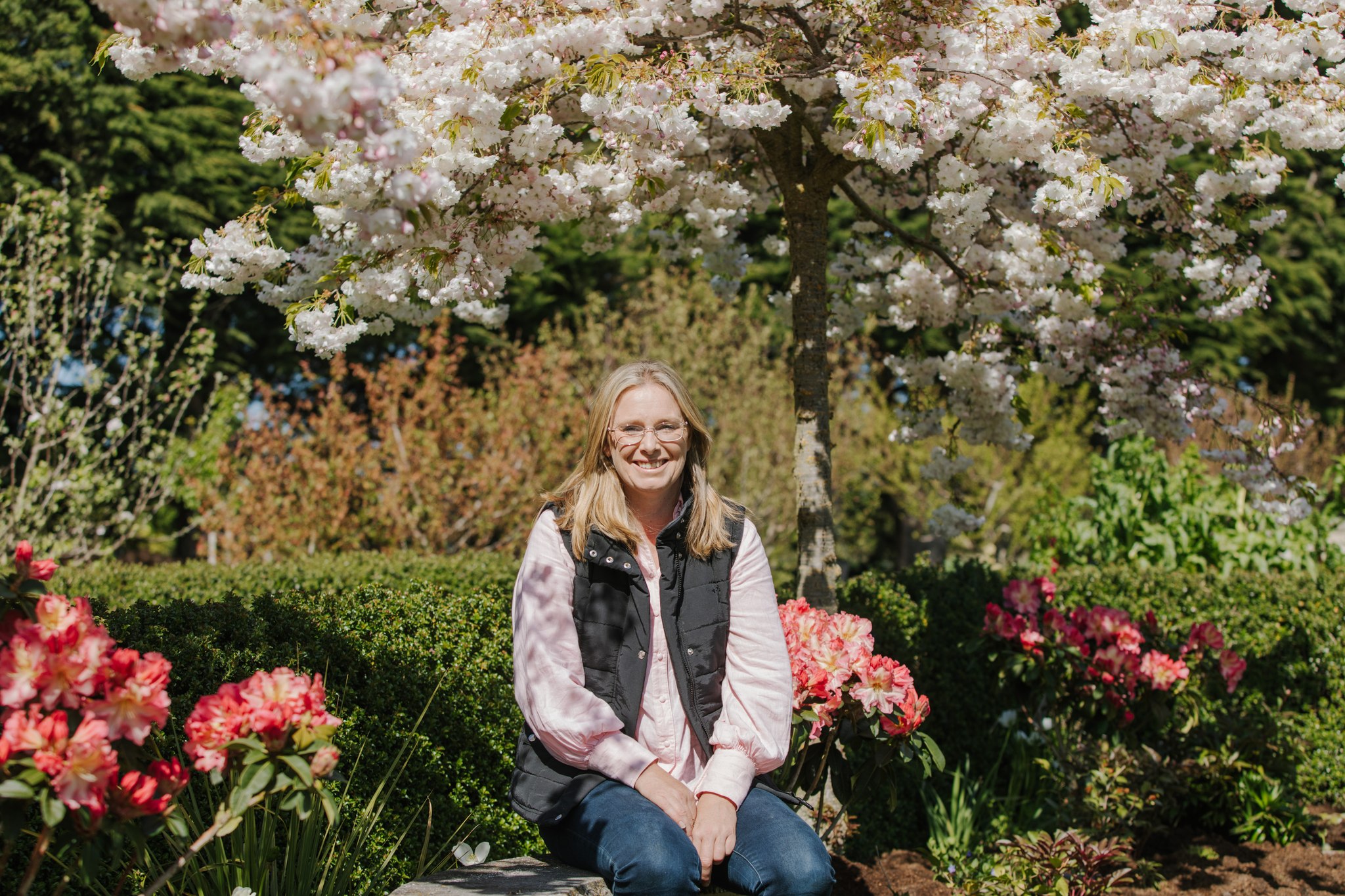 A woman enjoying the sight of a flowering cherry tree.