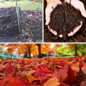 Three-part image: top left shows a compost pile in a garden, top right displays hands holding rich compost, and bottom shows a ground covered in colorful autumn leaves used as leaf mulch.