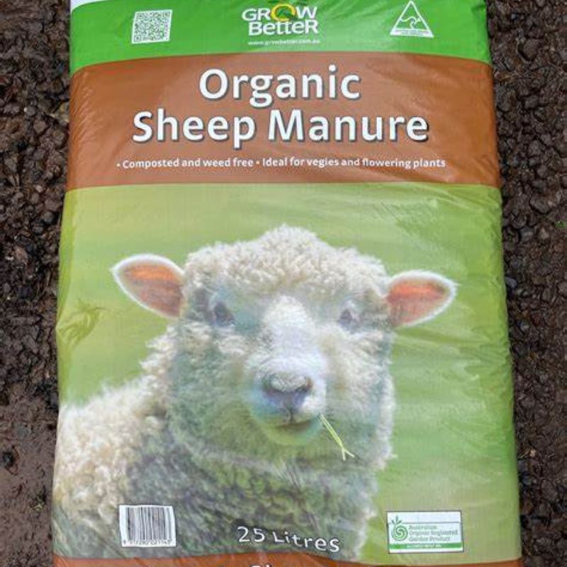 A 25-liter bag of Grow Better Organic Sheep Manure designed for composting and weed-free gardening, perfect for rhododendrons. Featuring an image of a sheep on the packaging, this animal manure is easy to use.