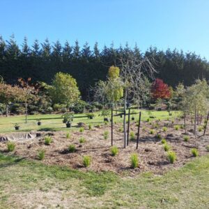 Spring is here at the nursery garden