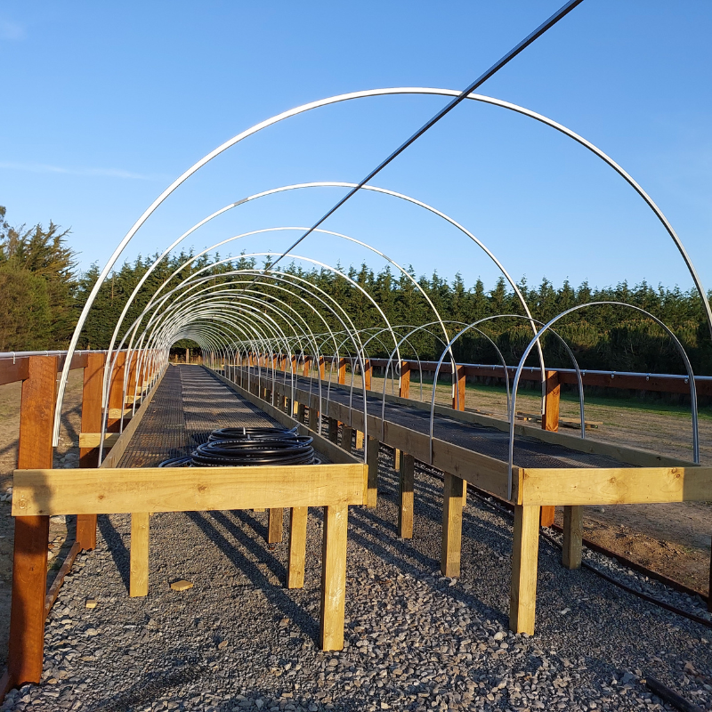 A partially constructed greenhouse frame with wooden tables underneath metal arcs on a gravel path, set against a background of trees hints at big changes and big growth to come.