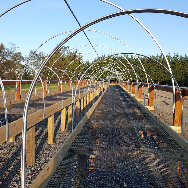 A metal-framed greenhouse structure under construction, featuring wooden supports and a gravel floor, set outdoors with trees in the background. This project signifies big changes, promising a future of big growth for the garden.