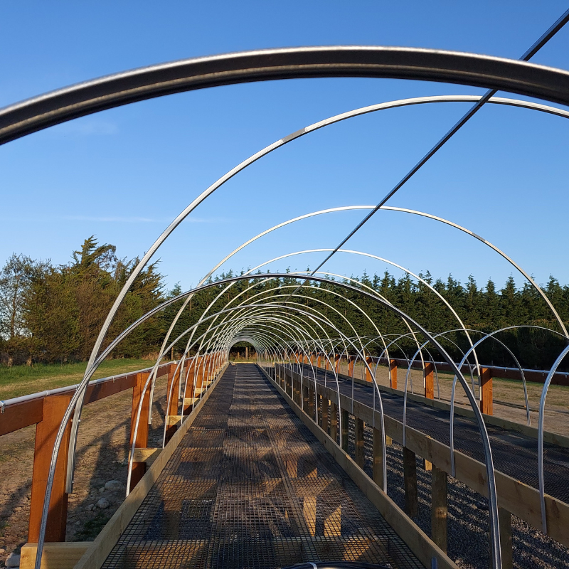 A long metal-framed structure with arched supports stands on a raised wooden base, set against a clear blue sky and flanked by trees, symbolizing big growth and transformation in the landscape.