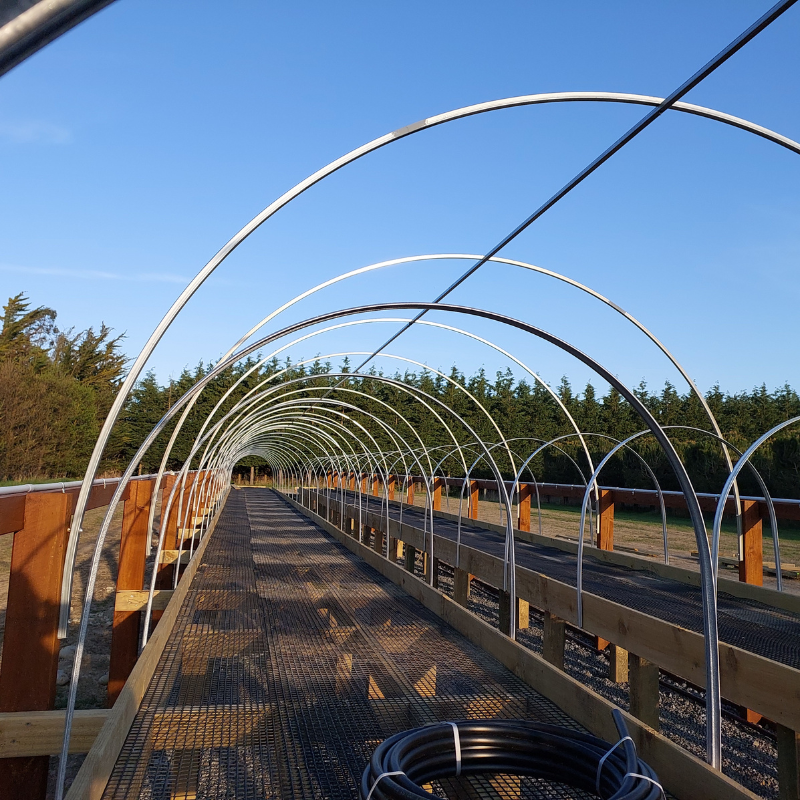 A long, unoccupied metal and wooden greenhouse frame under a clear blue sky hints at big changes, with trees in the background ready for big growth.