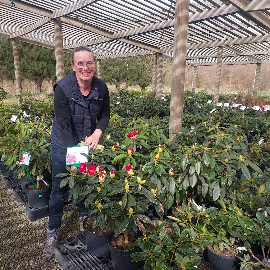 A person stands among potted flowering plants under a pergola, smiling and holding a plant label in a plant nursery, embracing change and growth.