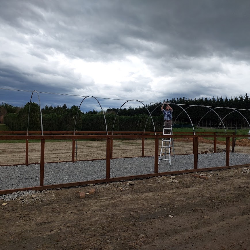 Under a cloudy sky, a person on a ladder diligently repairs the metal frame of a greenhouse. Gravel and wooden borders lay at their feet, capturing the essence of gardening showcased on Rhodo Direct's home page.