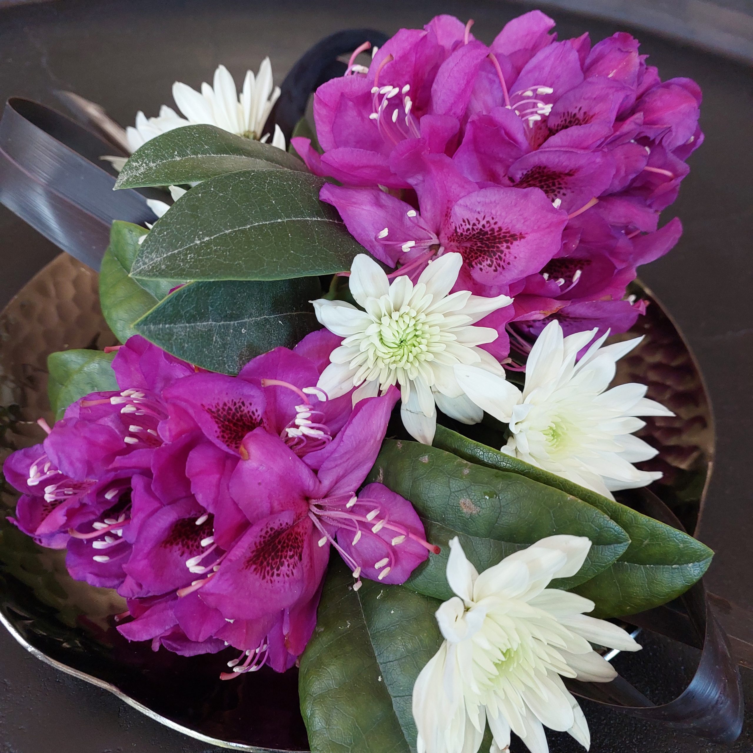 A bouquet of vibrant pink flowers, green leaves, and white daisies grace the scene on a dark background, reminiscent of the elegant arrangements featured on Rhodo Direct's Home Page.