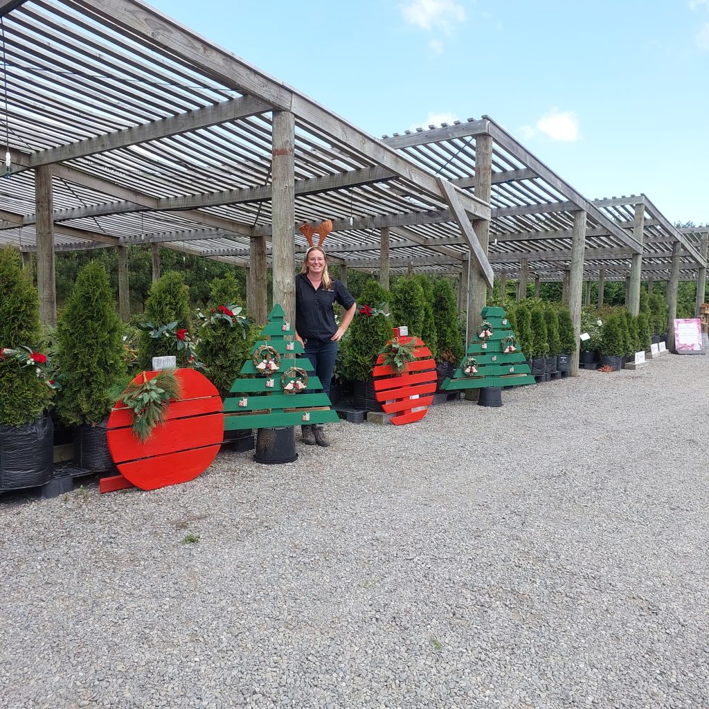 A person stands beside decorative wooden holiday trees and wreaths, capturing the Christmas spirit in an outdoor plant nursery area.