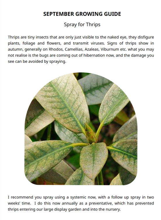 Image of a close-up of leaves with visible thrips damage. Text above and below provides a monthly growing guide on using systemic spray to prevent thrips in autumn, ensuring your garden stays healthy all year round, especially by June.