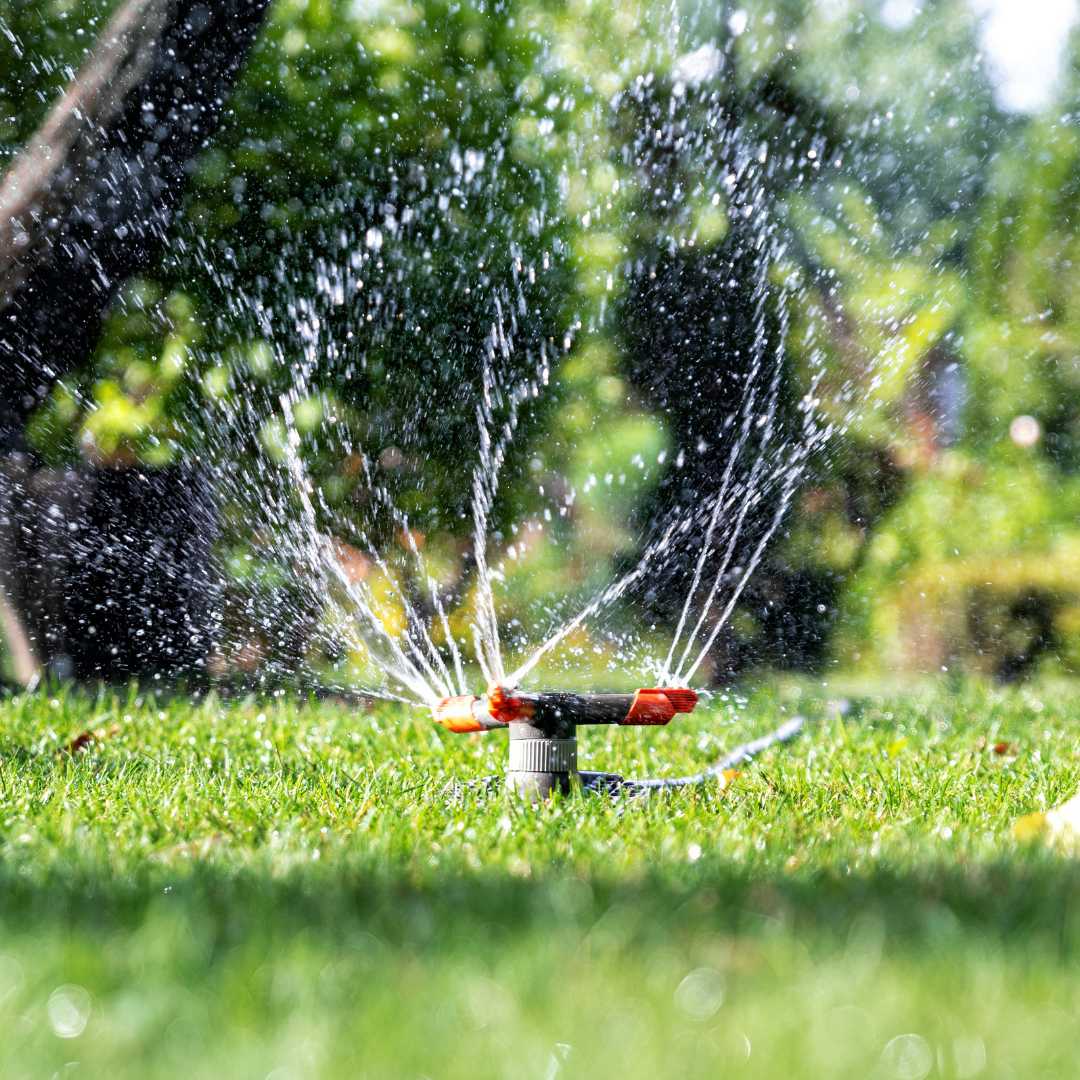 A sprinkler diligently sprays water over a lush green lawn, mastering gardening with each droplet, as blurred trees create a serene backdrop.