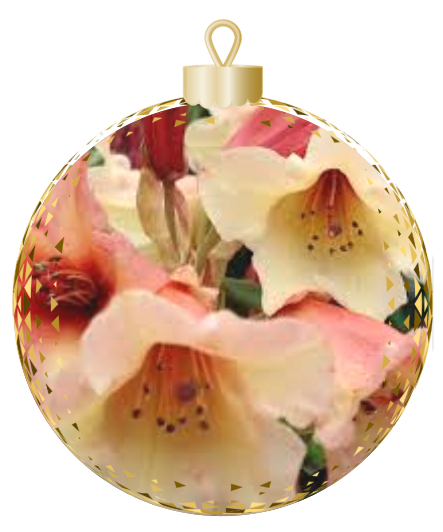 This decorative ornament from Rhodo Direct features an elegant image of light pink and peach flowers, adding a touch of nature's beauty to your home.