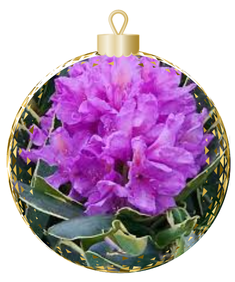 A purple flower ornament with green leaves is elegantly displayed by Rhodo Direct, enclosed in a round, gold-trimmed decoration that would make a stunning centerpiece for any home page.