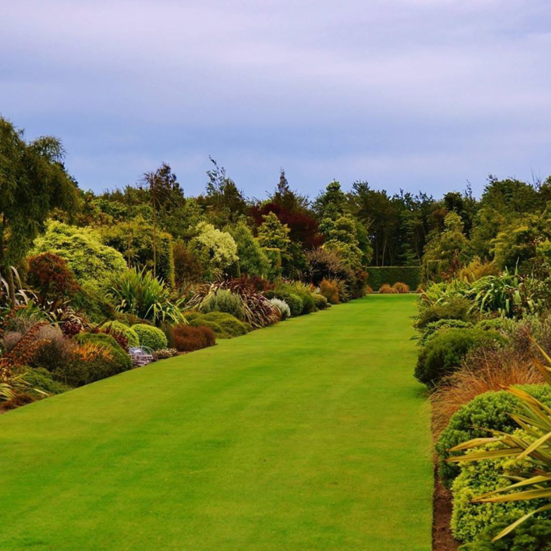 A well-manicured lawn, the flawless result of Plan A, is lined with lush, diverse vegetation under a cloudy sky.