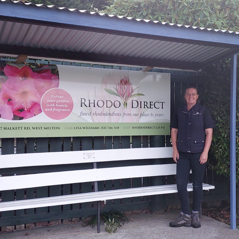 A person stands next to a Rhodo Direct sign in a covered area with a bench, reminiscent of festive Trade Days. The sign advertises rhododendrons with the tagline, "finest rhododendrons from our place to yours.