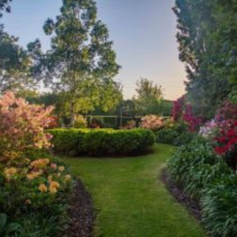 A well-maintained garden with a curved grassy path, flowering shrubs, and tall trees under a clear sky at sunset.