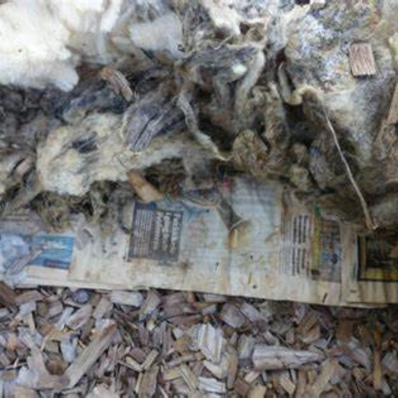 Dirty wool insulation and shredded wood are placed on top of old newspaper sheets to help suppress weeds—an effective growing tip inspired by May Growing Tips for healthier gardens.