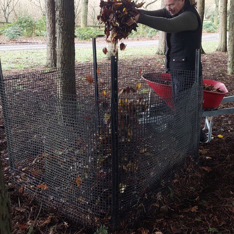 A person empties a load of fallen leaves from a wheelbarrow into a wire compost bin in a wooded area, creating rich mulch for the soil.