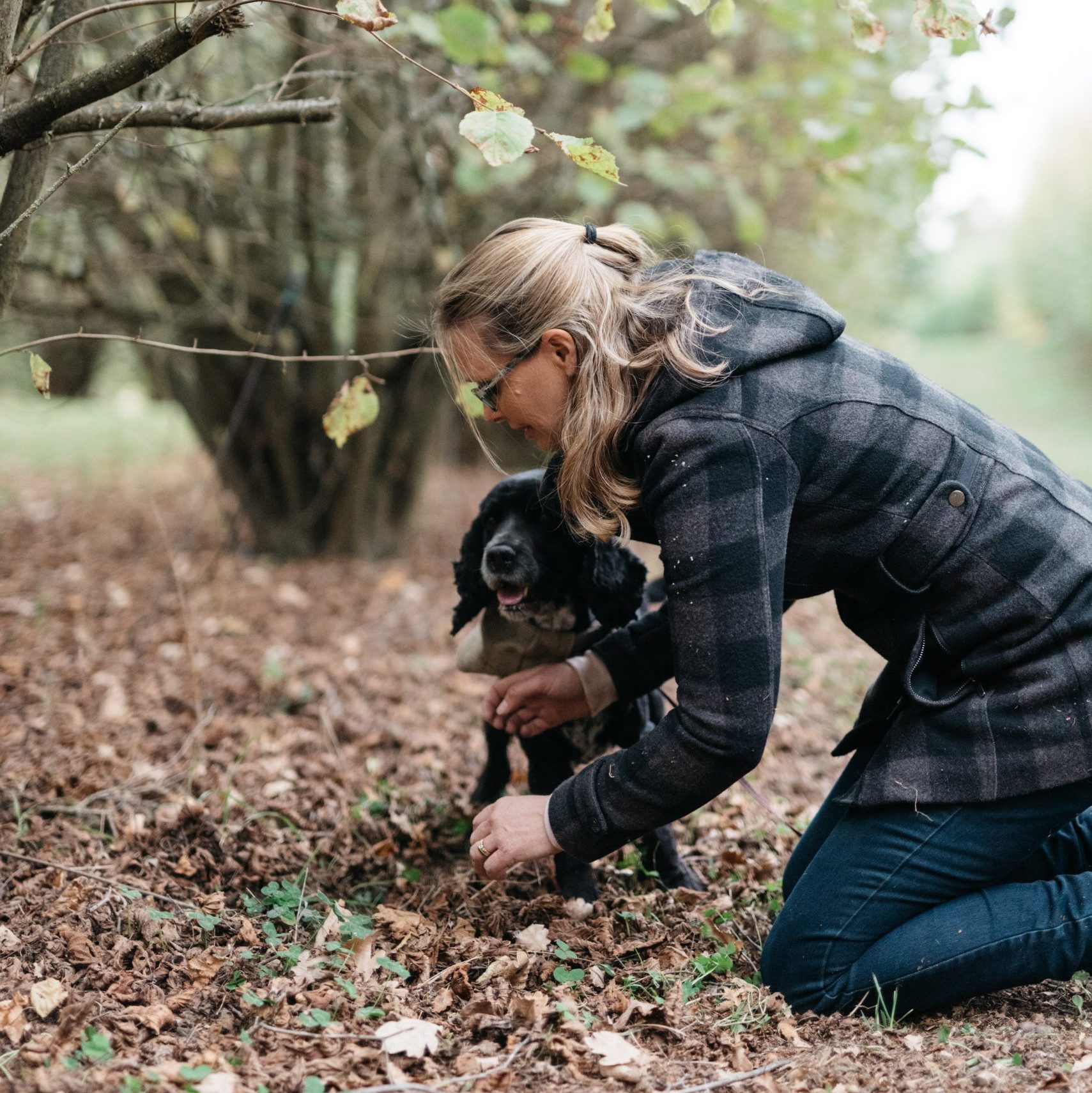 A woman in a plaid coat kneels on the ground in a wooded area, holding a small black dog among fallen leaves and branches—it's truffling time.