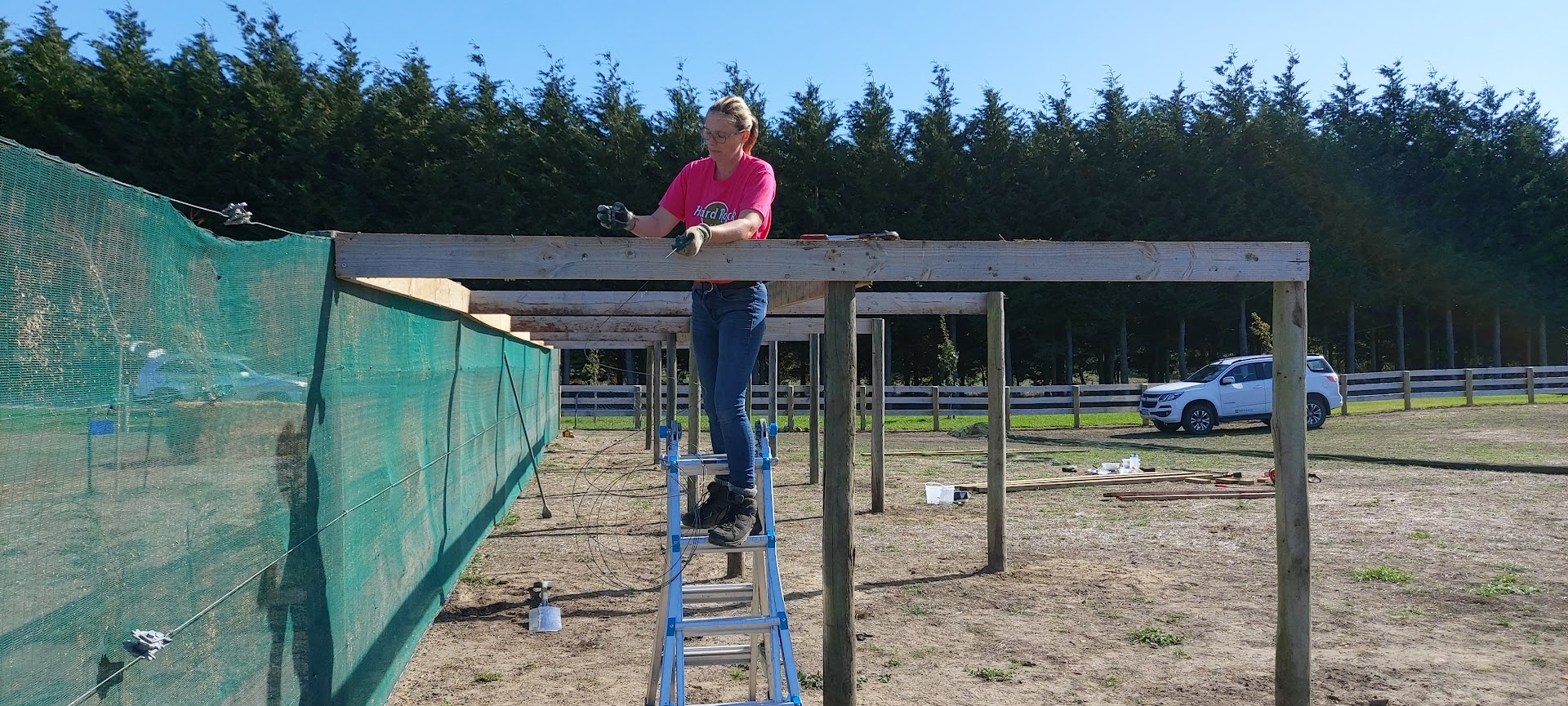 A person stands on a ladder working on a wooden frame outdoors, tackling DIY projects beside a netted fence with a parked car in the background.