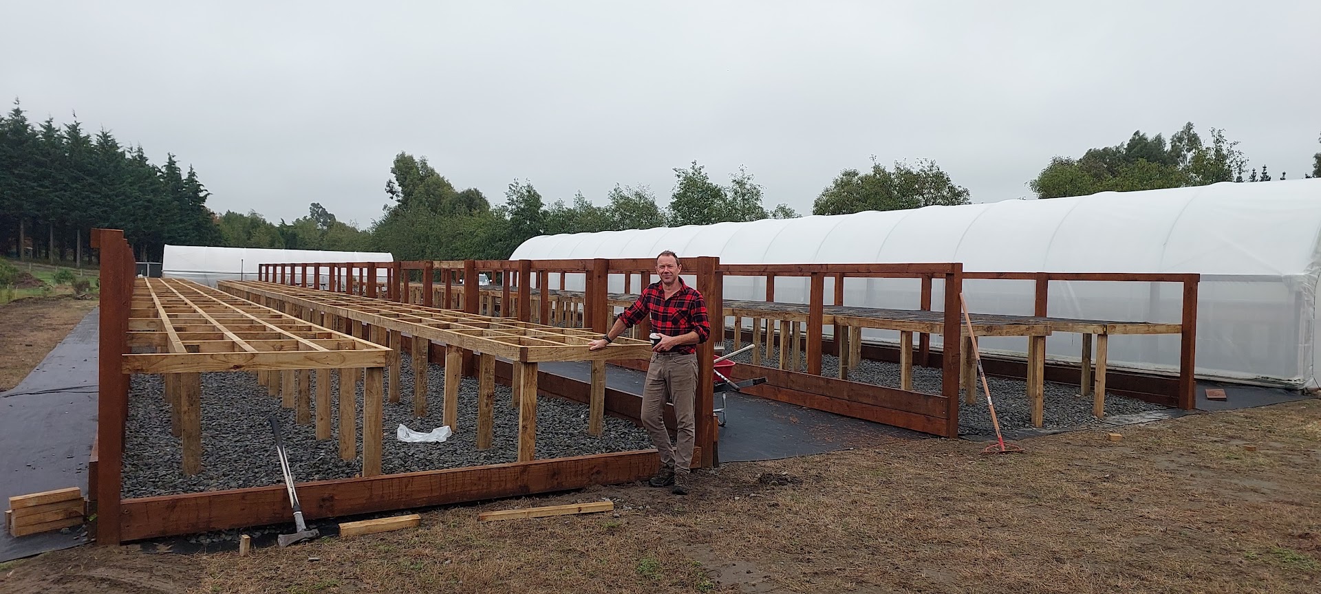 A person stands on a construction site, overseeing new projects with wooden frames being built on a gravel surface, next to a large plastic-covered greenhouse.