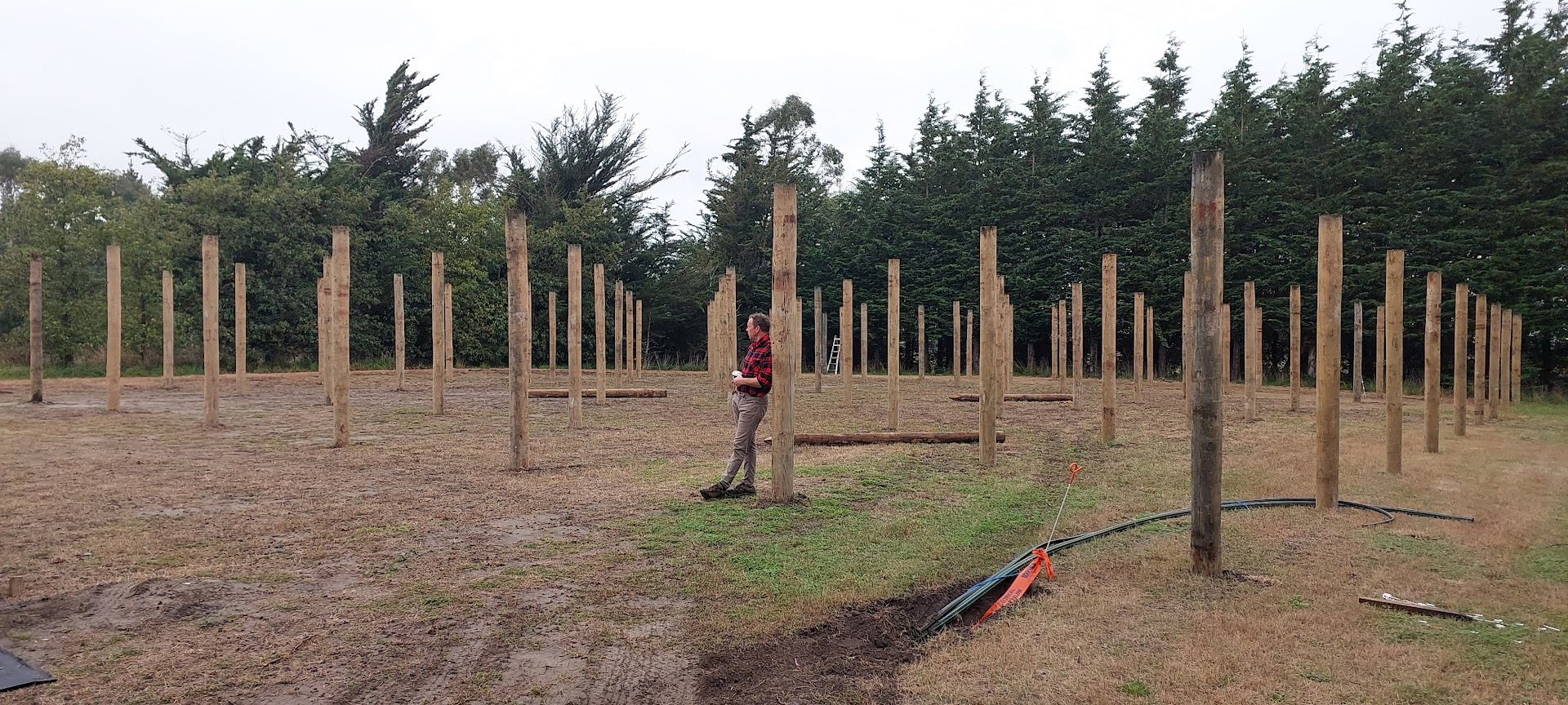 A person stands among numerous upright wooden posts arranged in rows on a grassy, uneven field bordered by trees, resembling the organized layout of a project management site.