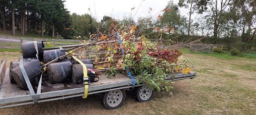 A flatbed trailer loaded with potted young trees and plants—perfect for landscaping projects—is parked on grass near a wooden fence and trees.