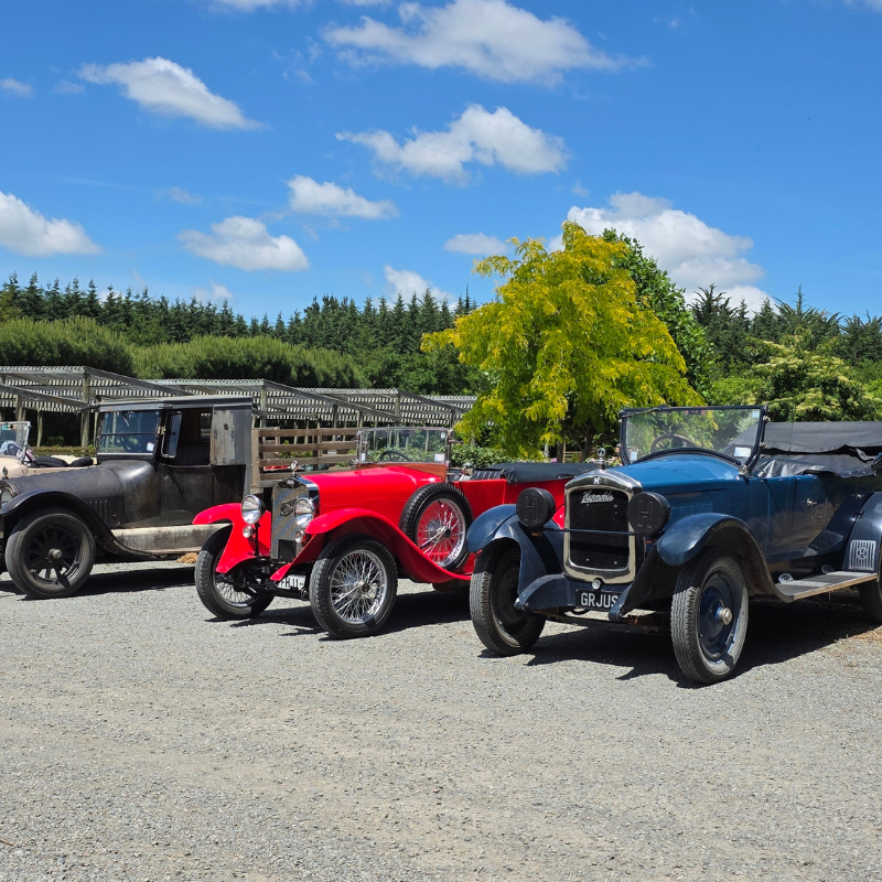 Three colourful vintage cars are parked side by side outdoors on a gravel lot under a blue sky with scattered clouds and trees in the background, reminiscent of the classic style featured by RhodoDirect.