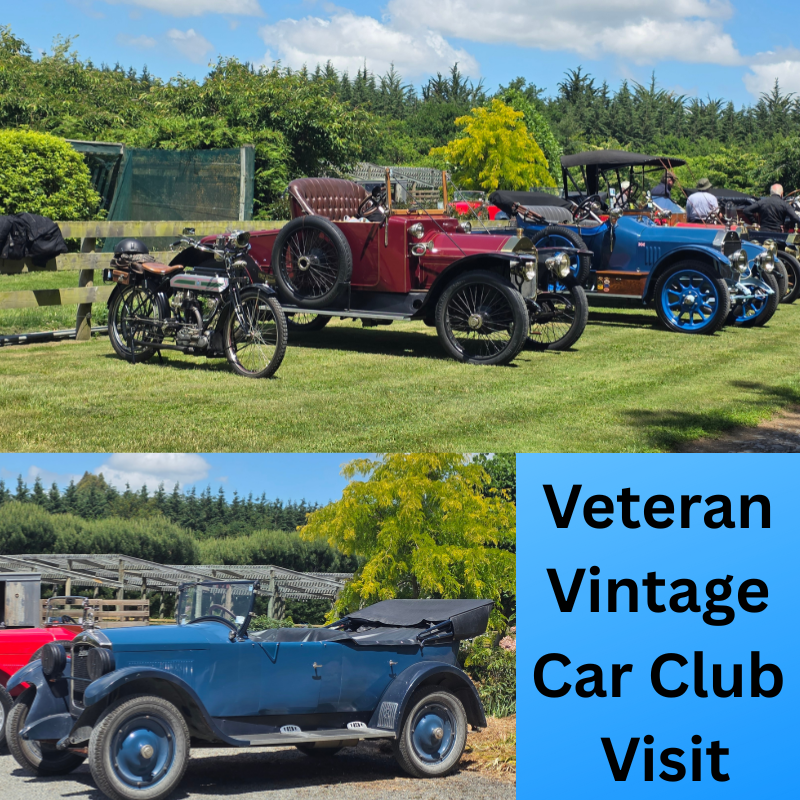 Several colourful vintage cars and motorcycles are parked on grass under a sunny sky, with trees and fencing in the background. Text reads: “Veteran Vintage Car Club Visit.” Sponsored by RhodoDirect.
