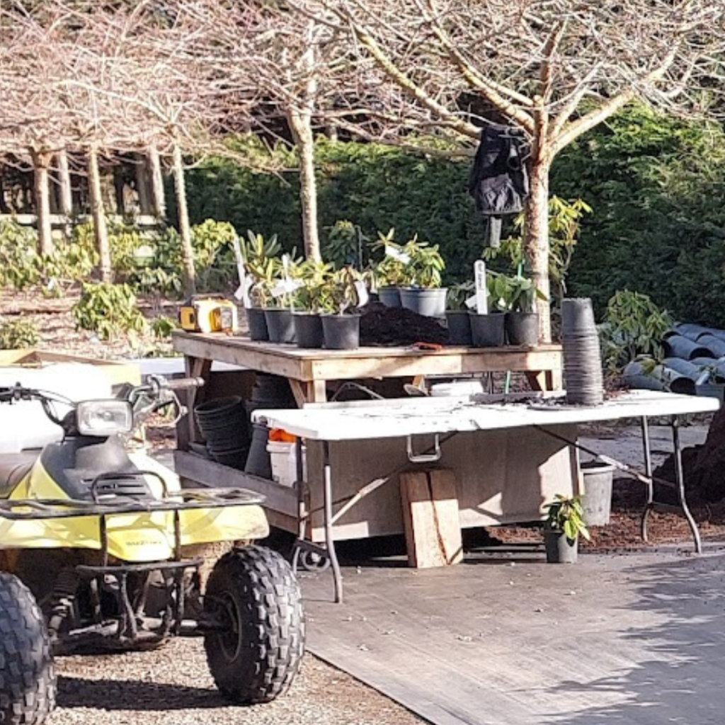 A yellow quad bike is parked next to a table with potted plants and gardening tools, ready for some Christmas Potting, in an outdoor garden area with leafless trees.
