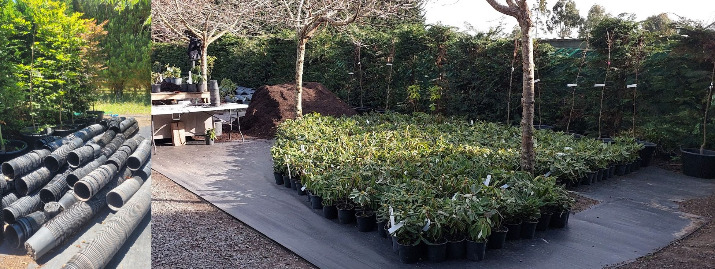 Rows of black plastic planting pots and pipes are stacked outdoors next to a garden area, hinting at collection making, with potted plants, trees, and a pile of soil under clear daylight.