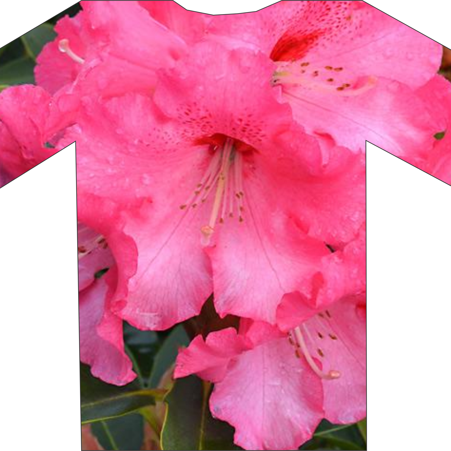 A T-shirt featuring an image of vibrant pink flowers, perfect for showcasing on the Rhodo Direct home page.