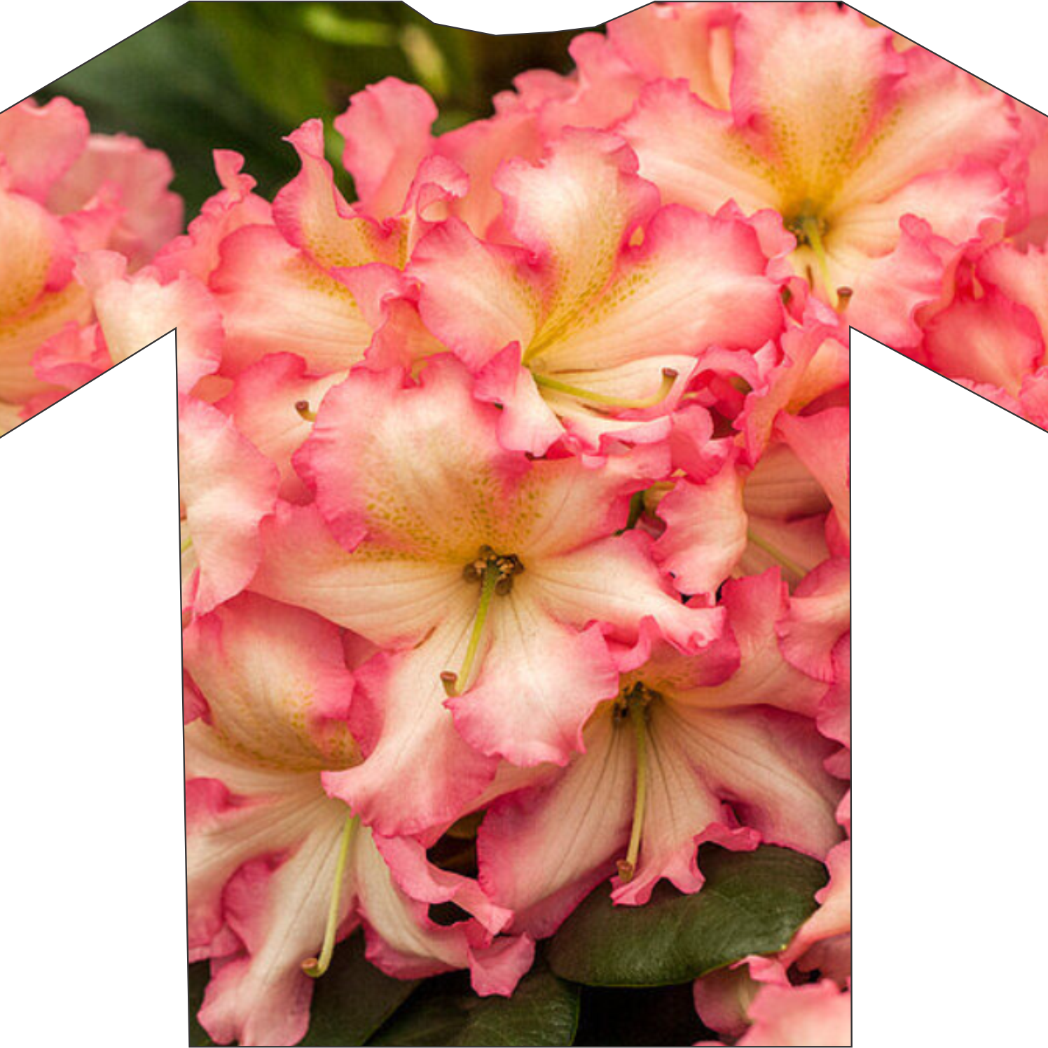 Discover our T-shirt adorned with vivid pink and white trumpet-shaped flowers, exclusively featured on Rhodo Direct.