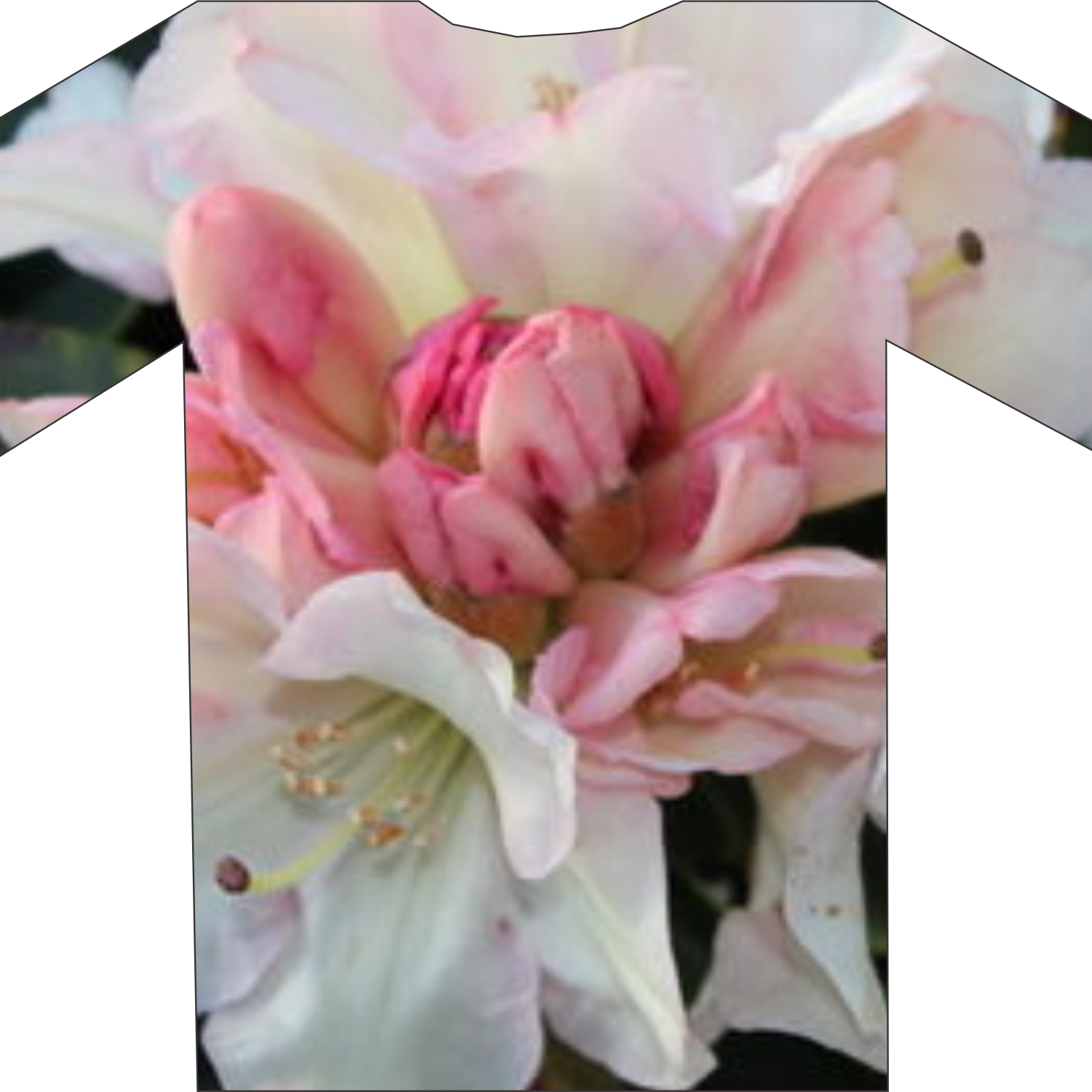 Discover our exclusive Rhodo Direct t-shirt, featuring a bold print of pink and white flowers. Perfect for adding a touch of nature to your ensemble. Visit our Home Page to explore this unique design and more.