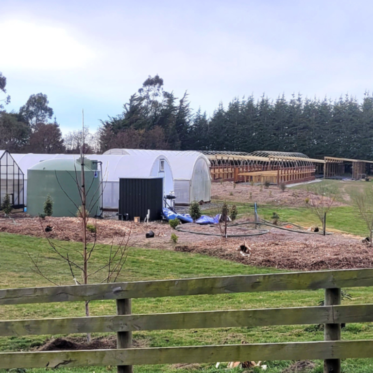 A semi-rural property with greenhouses, a shed, chicken coop structures, and a grassy yard enclosed by a wooden fence—perfect for taking your gardening to the next level with inspiration from RhodoDirect.