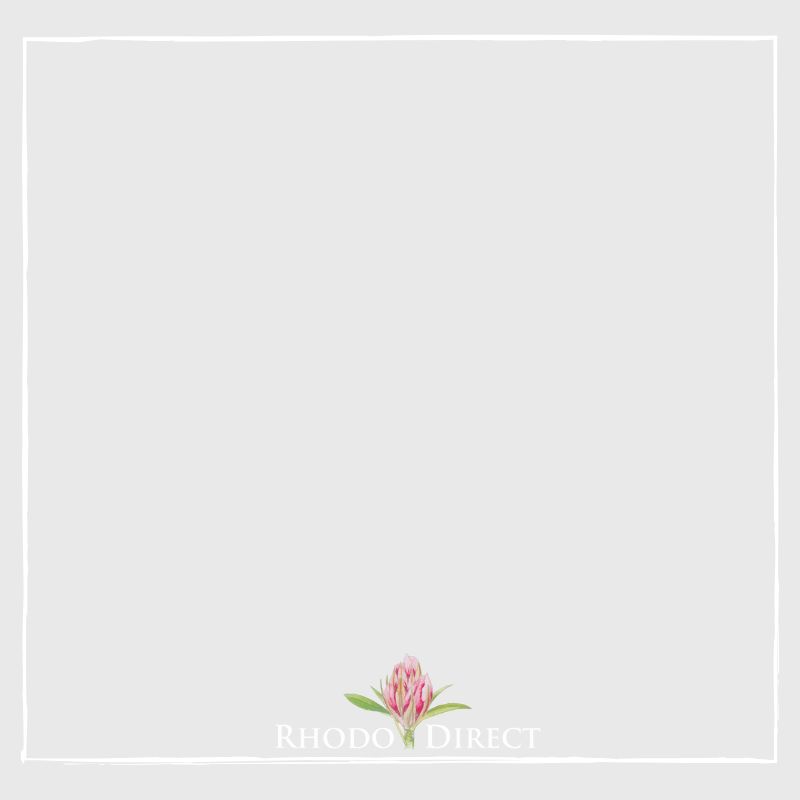 An image of a pink flower with the words rona direct.