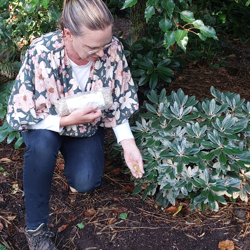 A person with glasses crouches to examine small yellow flowers on a plant, dressed in a floral-patterned top and holding a woven clutch. Their keen interest in plant care is evident as they ensure every bloom achieves rhododendrons success.