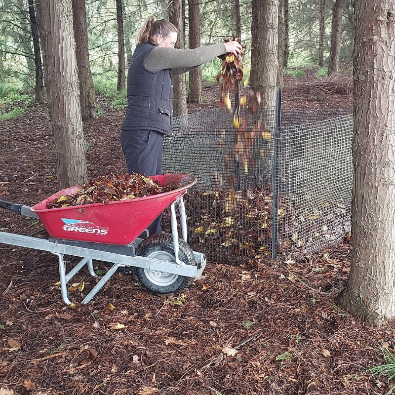A person empties a wheelbarrow full of leaves and mulch into a wire compost bin in a wooded area.