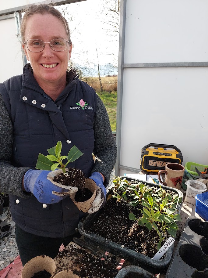 A woman wearing glasses and gloves works on projects at a potting station, holding a small potted plant surrounded by seedlings, tools, and cups.