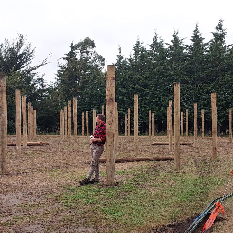 A person in a red plaid shirt leans against a wooden post in a field with multiple upright wooden posts, surrounded by trees, lost in quiet reflection.