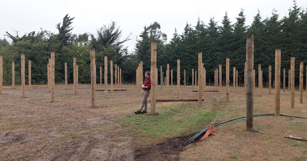 A person stands among evenly spaced wooden posts on a grassy field bordered by trees, taking their outdoor experience to the next level with the serene setting reminiscent of RhodoDirect landscapes.