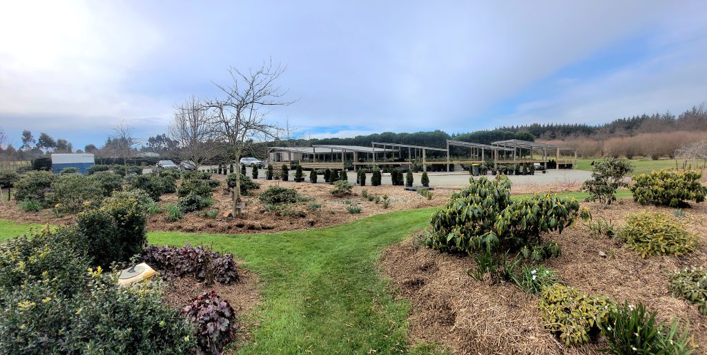 Landscaped garden with shrubs, trees, and mulch in the foreground; a large wooden pergola and gravel area are visible in the background under a partly cloudy sky—bringing your outdoor space to the next level with RhodoDirect.