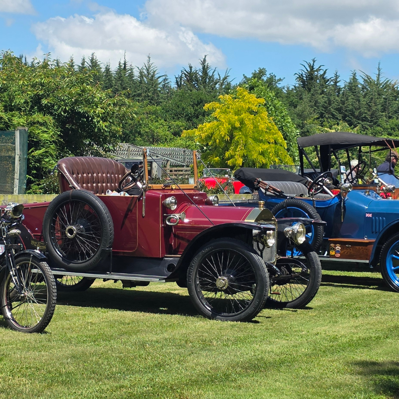 Several vintage cars and motorcycles are parked on grass at the RhodoDirect outdoor event, with trees and blue sky in the background, creating a scene reminiscent of a Colourful Six Weeks celebration.