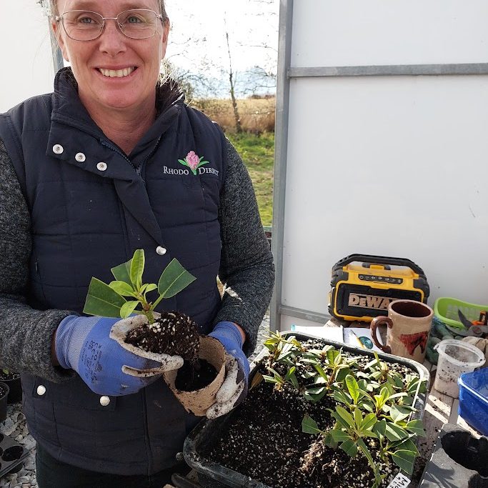 A woman wearing glasses and gloves works on projects at a potting station, holding a small potted plant surrounded by seedlings, tools, and cups.