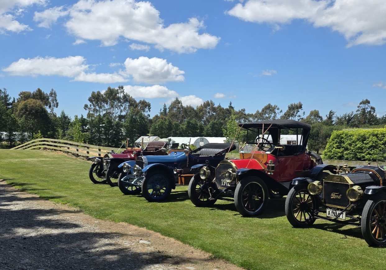 A row of vintage cars is parked on grass beside a wooden fence under a partly cloudy sky, surrounded by trees and hedges—an inviting scene perfect for the Rhodo Direct home page.