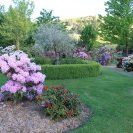 Garden advice for flower and shrub enthusiasts.