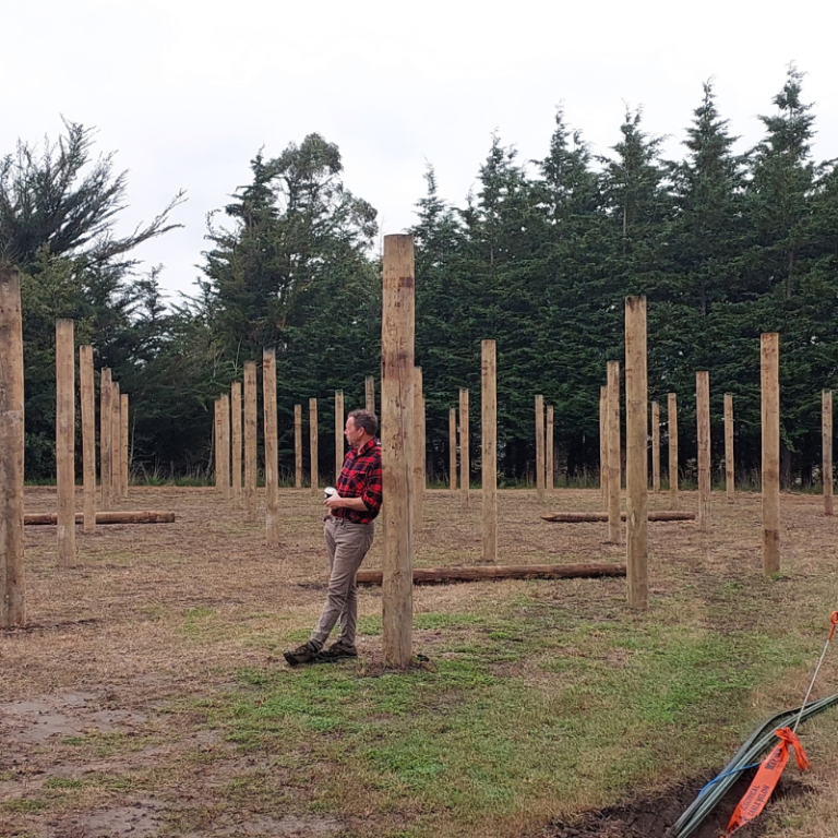A person in a red plaid shirt leans against a wooden post in a field with multiple upright wooden posts, surrounded by trees, lost in quiet reflection.